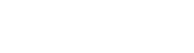 Essex Violence & Vulnerability Unit